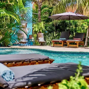 4* Hotell Pietermaai Boutique